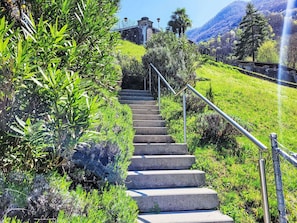 Green, Vegetation, Groundcover, Slope, Garden, Stairs, Handrail, Walkway, Botanical Garden, Trail