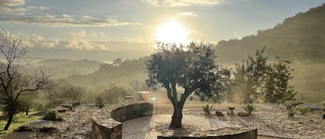 Jardines del alojamiento