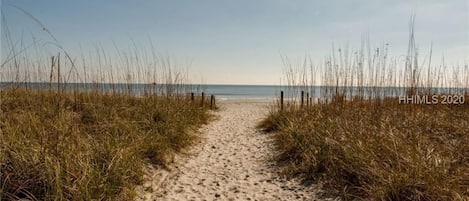 Beautiful view from the dunes