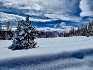 Winter Snowmobiling