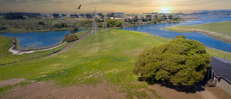 Peninsula Surround by Water