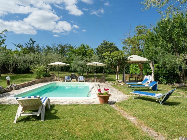 Plant, Cloud, Sky, Water, Azure, Swimming Pool, Shade, Botany, Tree, Outdoor Furniture