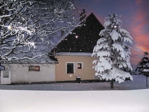 Bâtiment, Plante, Fenêtre, Neige, Monde, Branche, Brindille, Arbre, Architecture, Maison