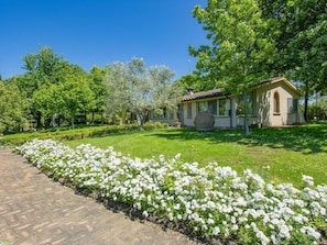 Blume, Pflanze, Himmel, Pflanzengemeinschaft, Gebäude, Baum, Botanik, Natürliche Landschaft, Haus, Grundstueck