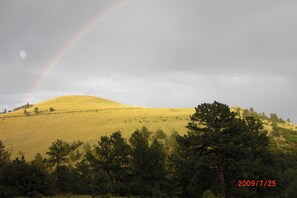 The view East from the deck.
