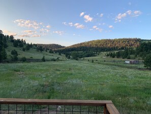 View from deck in summer.