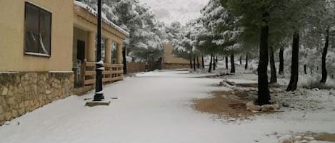 Property grounds