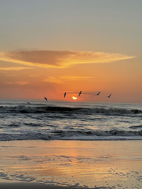 Sunrise