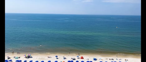 Views from the balcony! Wait until you hear the Gulf of Mexico. So beautiful.