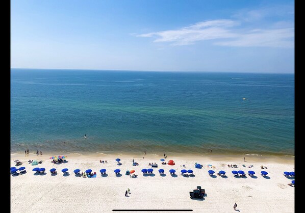 Views from the balcony! Wait until you hear the Gulf of Mexico. So beautiful.