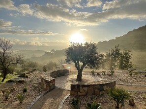 View of the valley outside with olive and almond trees