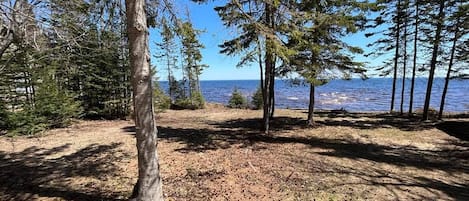 Lake view from the house