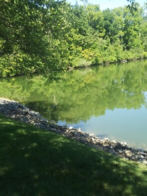 lake outside our door