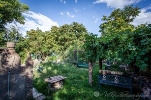 Just one part of out extensive grounds.