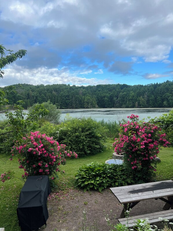 Backyard lake view