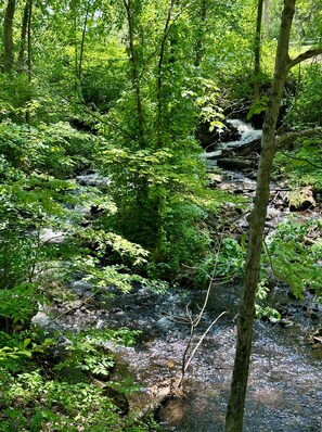 Cottage side brook
