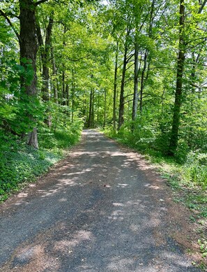 Driveway entrance