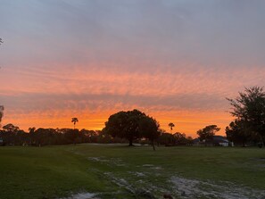 Your view from your patio!