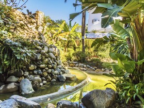 Plant, Sky, Water, Botany, Natural Landscape, Vegetation, Arecales, Terrestrial Plant, Grass, Biome