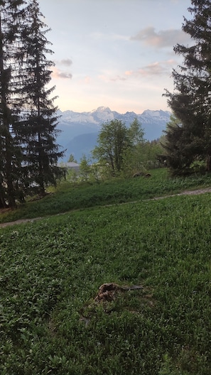 Vue sur le Mont-Blanc depuis le balcon