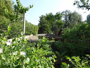 Jardines del alojamiento