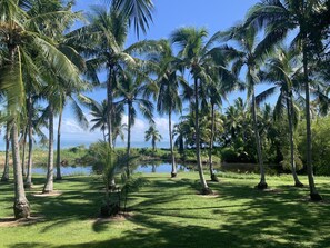 View from the deck
