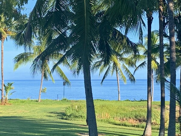 View from the house