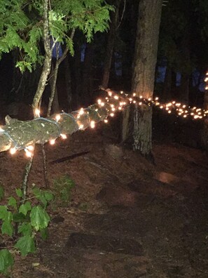 The sparkle lit stairs will light your way to the dock. Midnight swim anyone?