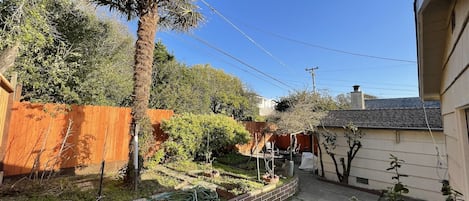 Renewed backyard garden for fun outdoors gathering and reading time. BBQ grill.