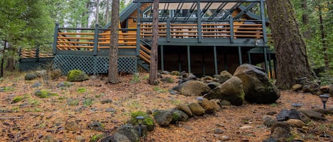 Cabin amidst forest with pathway leading to the all season creek