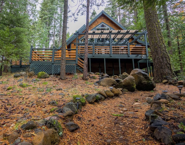 Cabin amidst forest with pathway leading to the all season creek