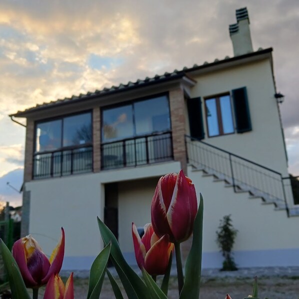 Detalle exterior