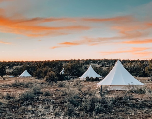 A look inside one of our King tents which includes 1 King bed. Note: furniture, décor and bed configuration may differ between tents.