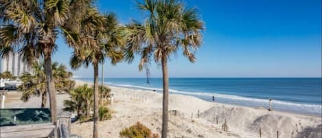  310 oceanfront acres with nearly one mile of beachfront