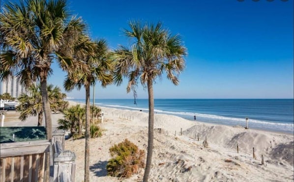  310 oceanfront acres with nearly one mile of beachfront
