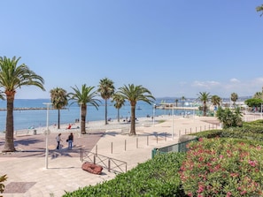 Water, Sky, Plant, Beach, Tree, Arecales, Body Of Water, Shade, Coastal And Oceanic Landforms, Cloud