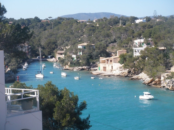 Vista desde el chalet
