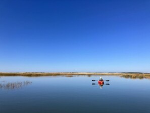 Kayaks provided!