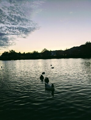 Local Lake: 5 minutes from house. 