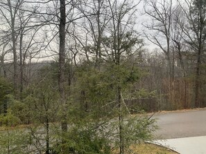 View from the front porch