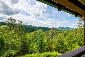 View from back deck: Unobscured view of the Wears Valley and beautiful trees