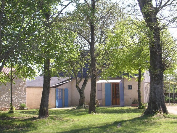 Exteriör