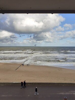 Kite-surfs par grand vent sur la mer