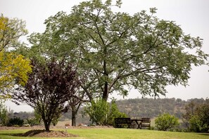 Established trees, lovely country views