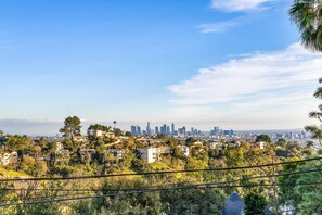 Epic Views of Downtown Los Angeles From Here