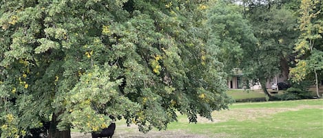 Jardines del alojamiento