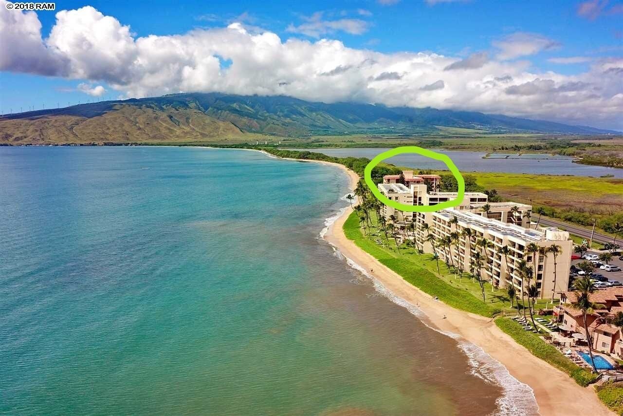 Coast Haven – KAVU.com