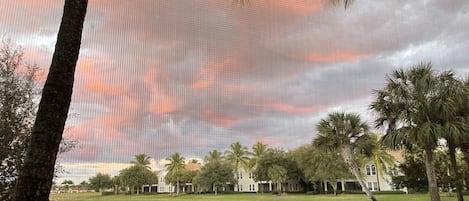 View from Lanai