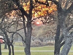 This picture was taken from our deck from one of our guests.