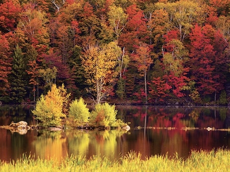 Lac